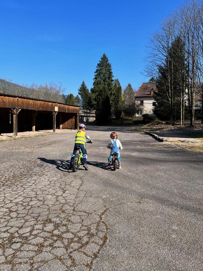 Ferme Des Jonquilles 15P - Billard, Ps4, Salle De Sport Villa Gérardmer Eksteriør billede