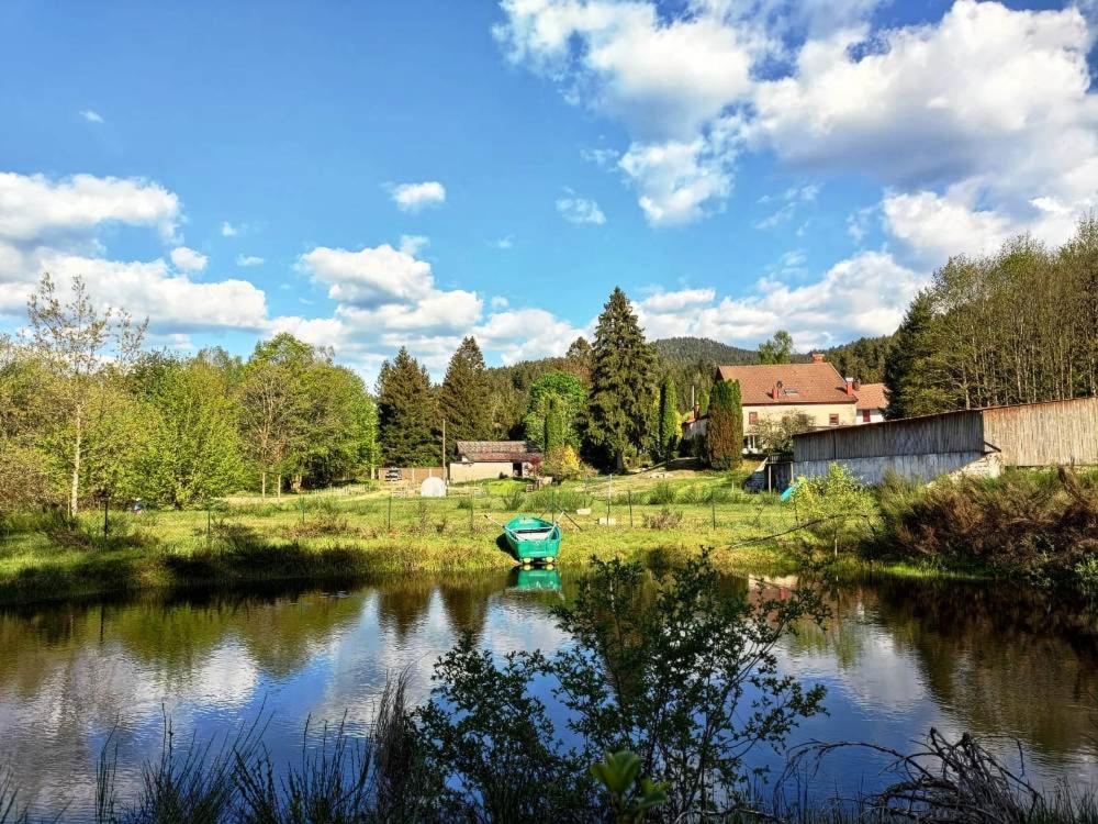 Ferme Des Jonquilles 15P - Billard, Ps4, Salle De Sport Villa Gérardmer Eksteriør billede