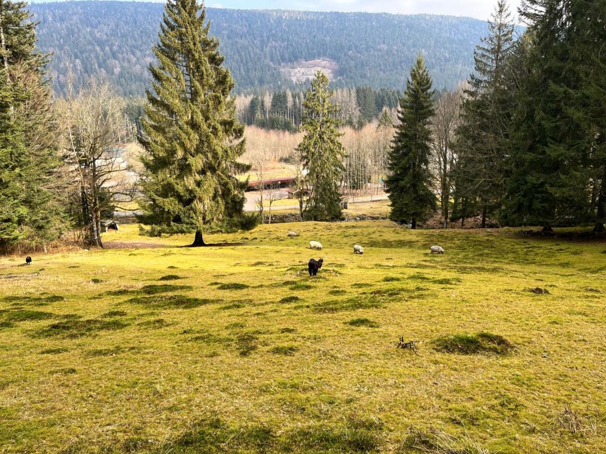 Ferme Des Jonquilles 15P - Billard, Ps4, Salle De Sport Villa Gérardmer Eksteriør billede