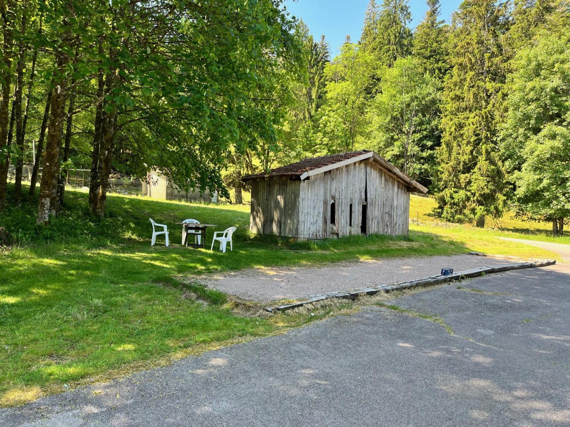 Ferme Des Jonquilles 15P - Billard, Ps4, Salle De Sport Gérardmer Eksteriør billede